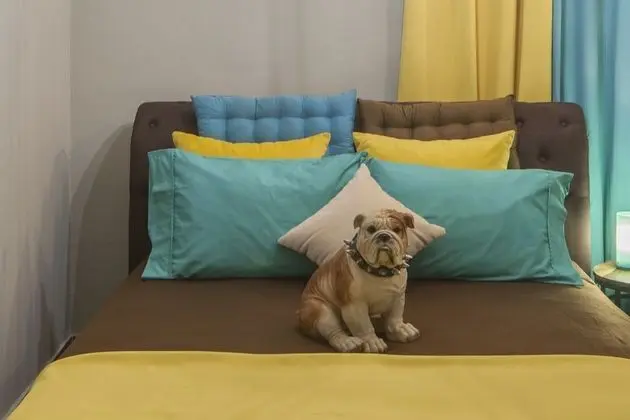 Ev, Dağ Manzaralı