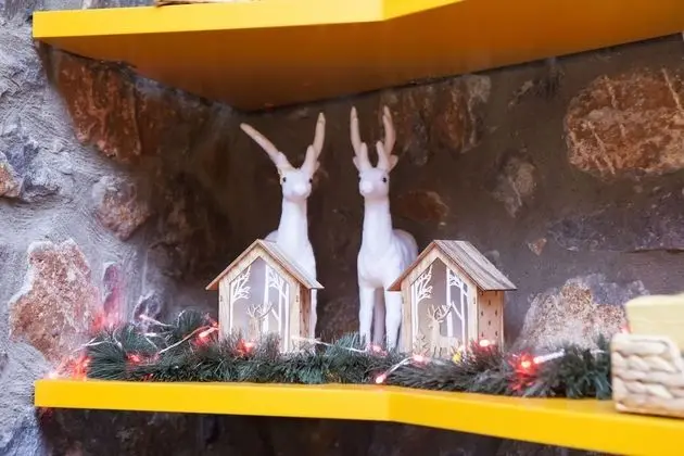 Ev, Dağ Manzaralı