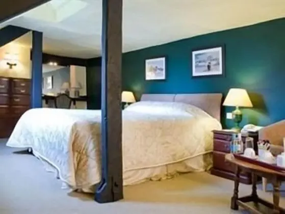 Deluxe Tek Büyük Yataklı Oda (Top Floor)