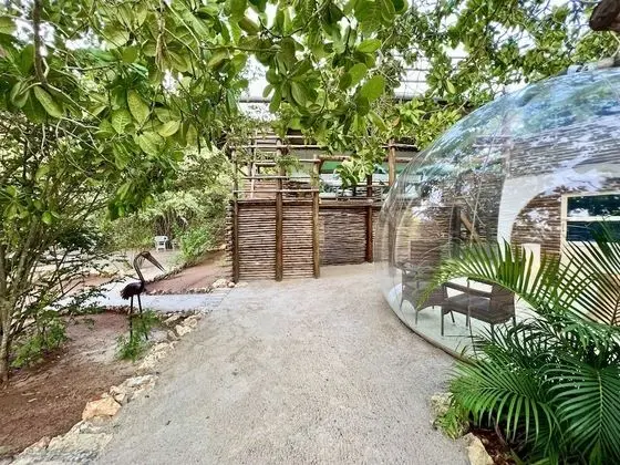 Panoramic Çadır, 1 En Büyük (King) Boy Yatak