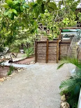 Panoramic Çadır, 1 En Büyük (King) Boy Yatak