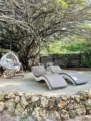 Panoramic Çadır, 1 En Büyük (King) Boy Yatak