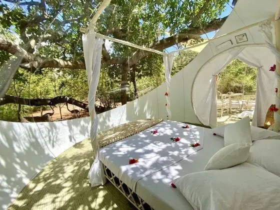 Panoramic Çadır, 1 En Büyük (King) Boy Yatak