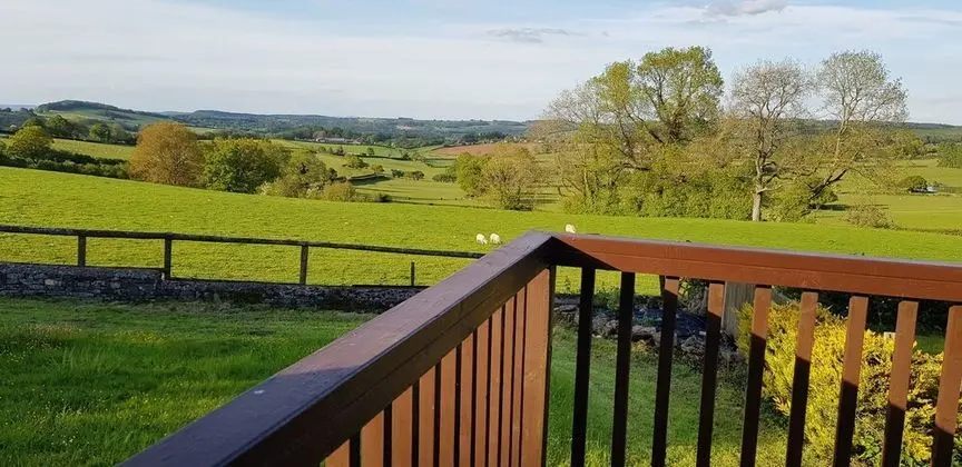 Stüdyo, Zemin Kat (Maple Lodge)