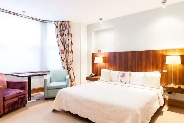 Deluxe Tek Büyük Yataklı Oda