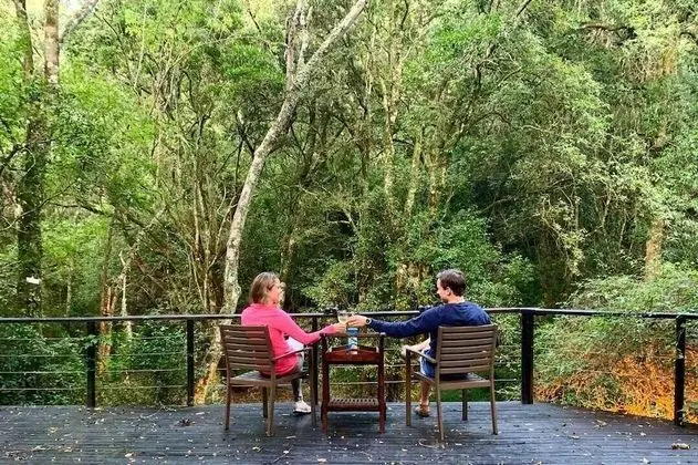 Forest Lodge