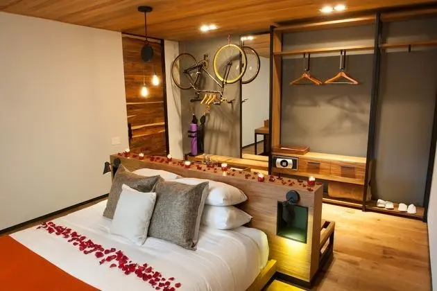 Forest Suite