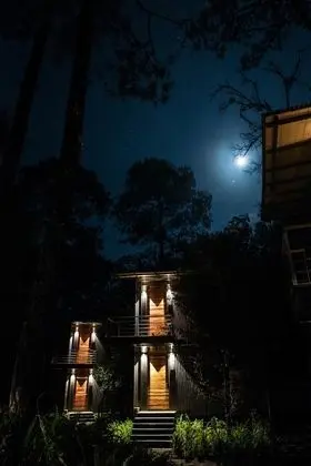 Forest Suite