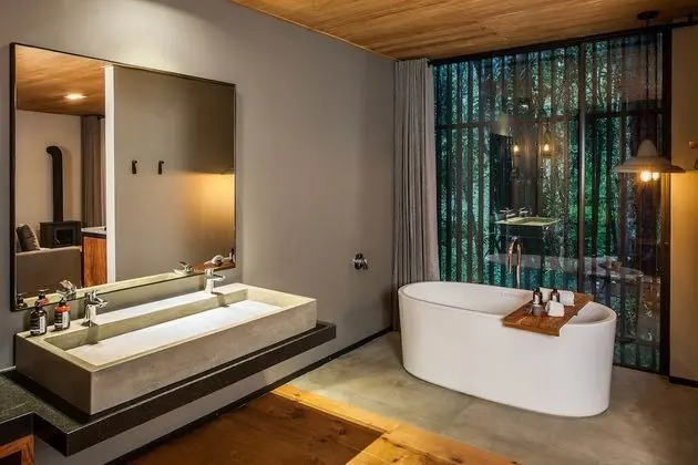 Forest Suite