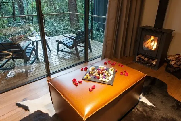 Forest Suite