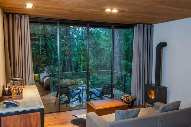 Forest Suite