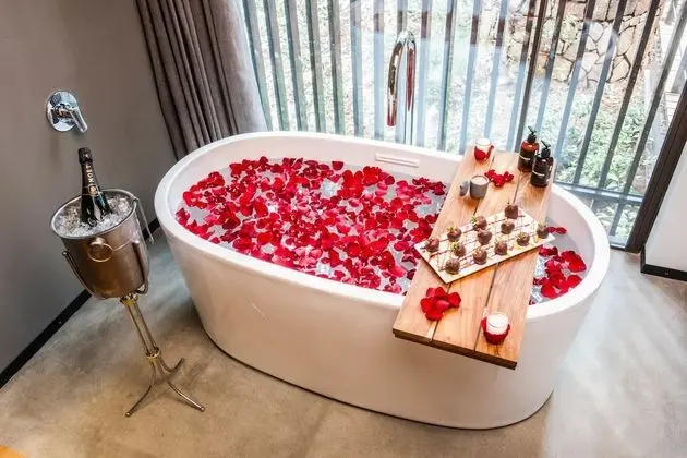 Forest Suite