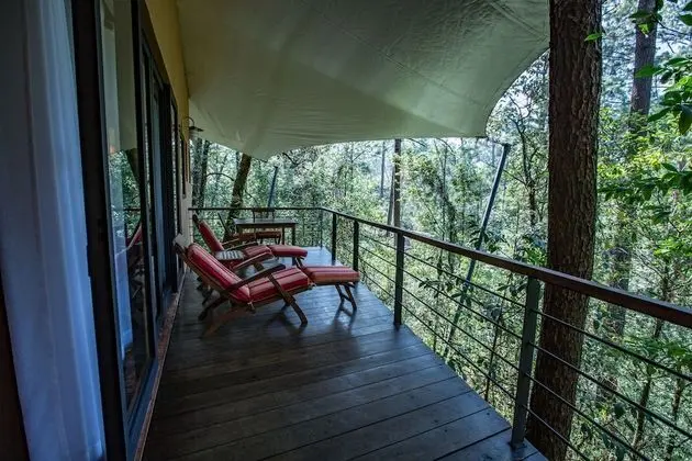 King Loft