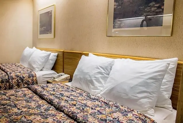 2 Double Beds, Efficiency, Suite, Nonsmoking, Hearing Accessible