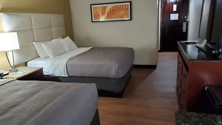 Standard Oda, 2 Çift Kişilik Yatak, Sigara İçilmez