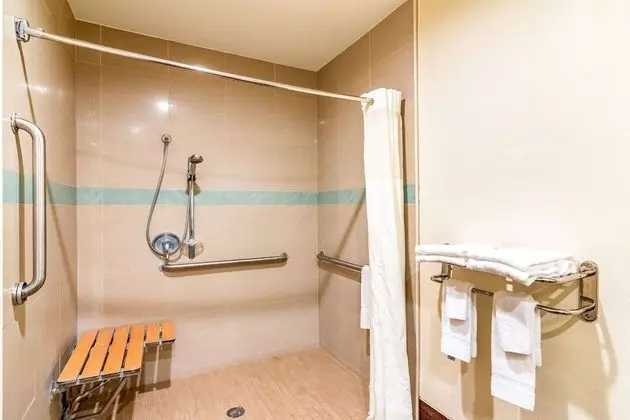 Standard Oda, 1 En Büyük (King) Boy Yatak, Engellilere Uygun, Sigara İçilmez (Roll-In Shower)