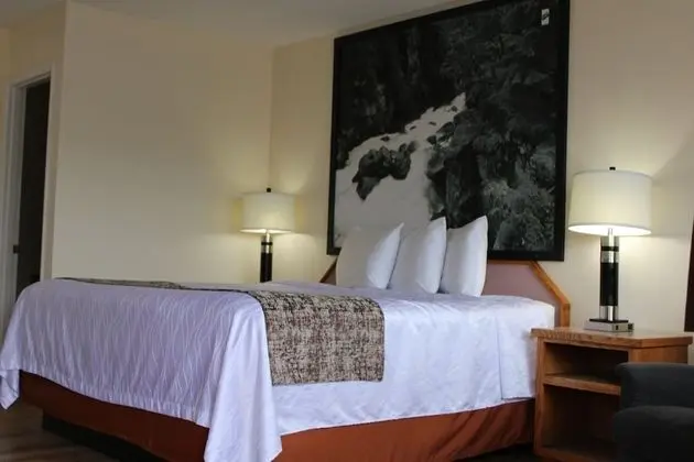 Oda, 1 Büyük (Queen) Boy Yatak, Sigara İçilmez