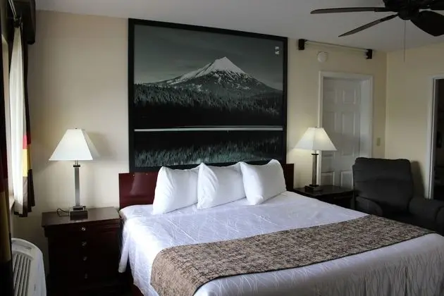 Oda, 1 En Büyük (King) Boy Yatak, Sigara İçilmez