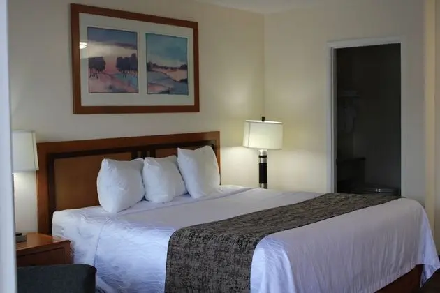 Oda, 1 En Büyük (King) Boy Yatak, Sigara İçilmez