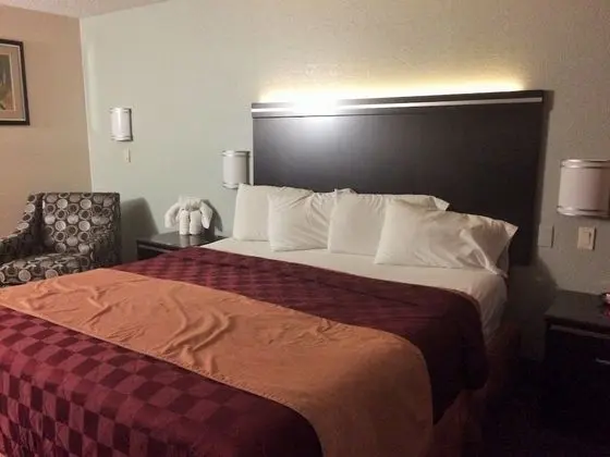 Standard Oda, 1 En Büyük (King) Boy Yatak, Sigara İçilmez