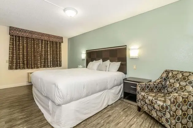 Standard Oda, 1 En Büyük (King) Boy Yatak, Sigara İçilmez