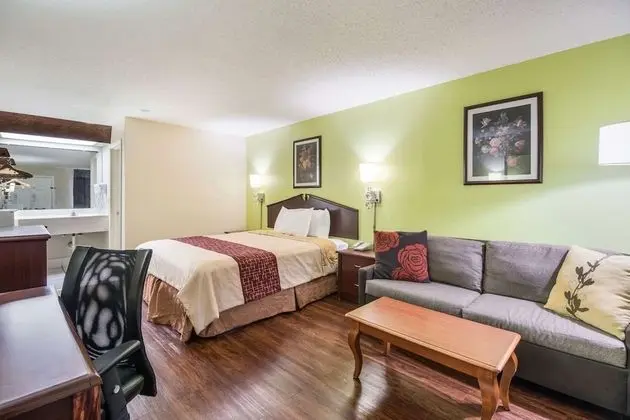 Standard Oda, 1 En Büyük (King) Boy Yatak, Sigara İçilmez