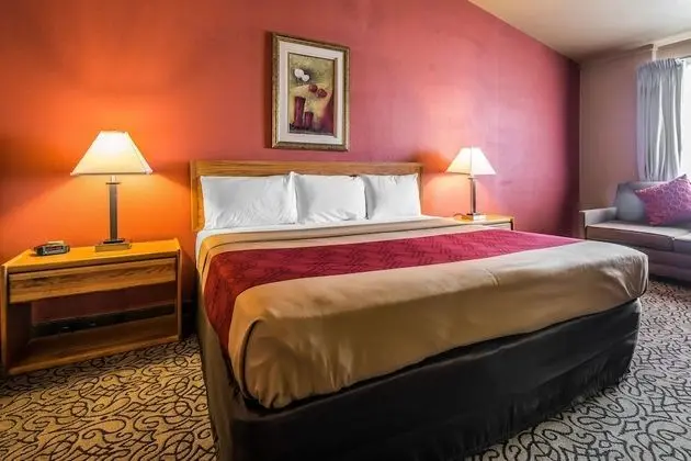 Standard Oda, 1 En Büyük (King) Boy Yatak, Sigara İçilmez