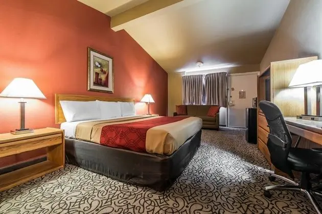 Standard Oda, 1 En Büyük (King) Boy Yatak, Sigara İçilmez