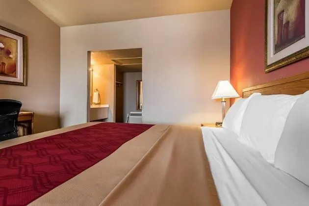 Standard Oda, 1 En Büyük (King) Boy Yatak, Sigara İçilmez