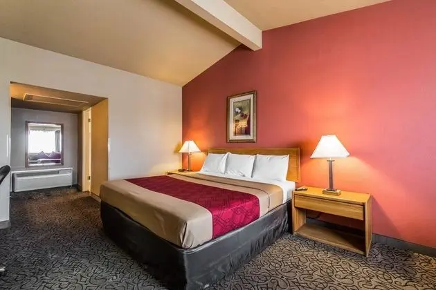 Standard Oda, 1 En Büyük (King) Boy Yatak, Sigara İçilmez