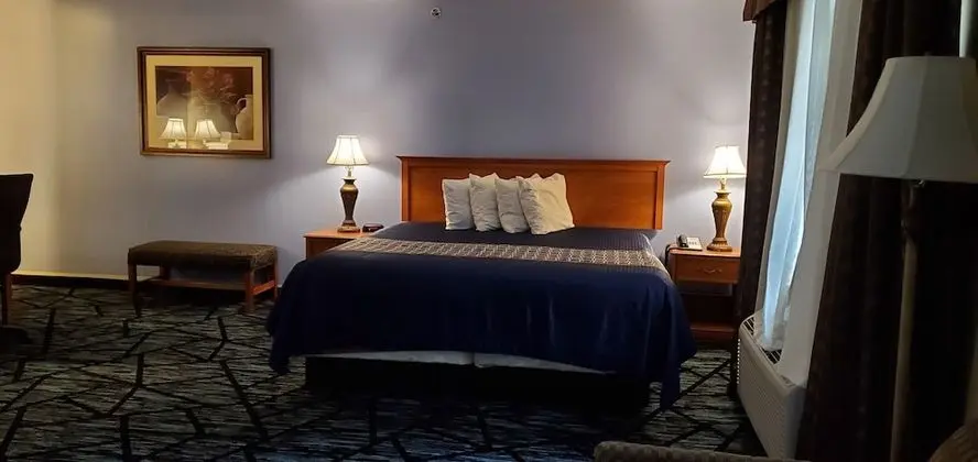 Comfort Stüdyo Süit, 1 En Büyük (King) Boy Yatak