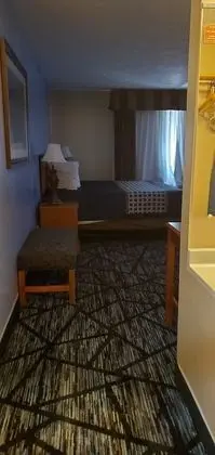 Comfort Stüdyo Süit, 1 En Büyük (King) Boy Yatak