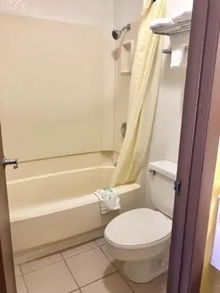 Standard Tek Kişilik Oda, 1 En Büyük (King) Boy Yatak, Sigara İçilmez, Buzdolabı ve Mikrodalga