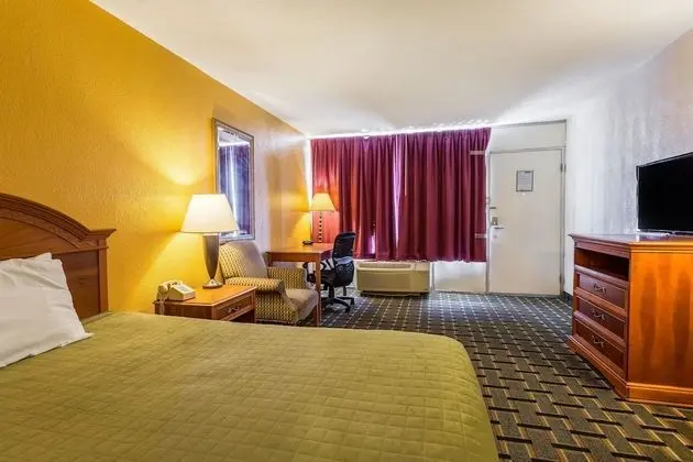 Standard Oda, 1 Çift Kişilik Yatak, Sigara İçilebilir