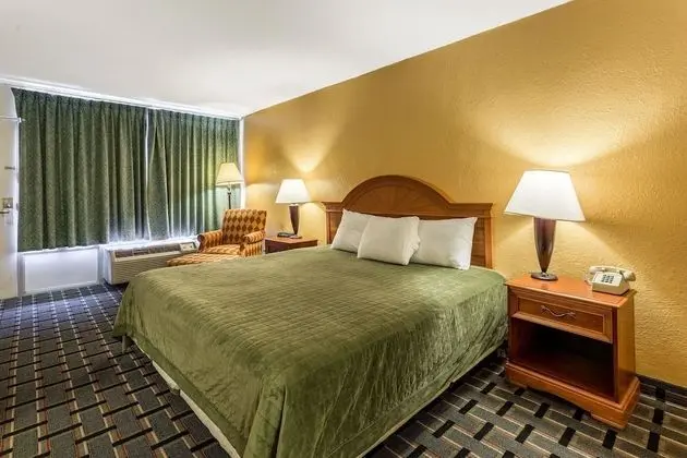 Standard Oda, 1 En Büyük (King) Boy Yatak, Sigara İçilebilir