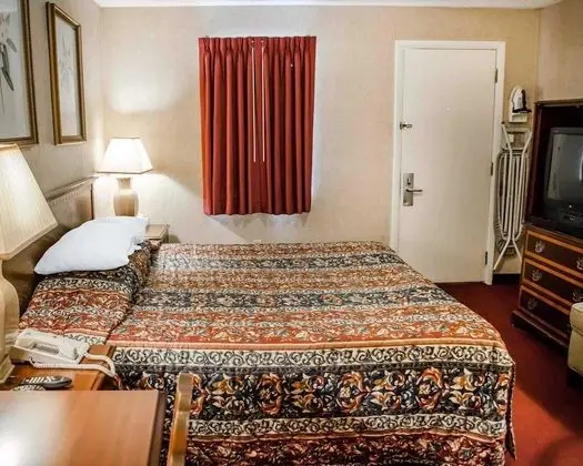 Standard Oda, 1 En Büyük (King) Boy Yatak, Sigara İçilmez