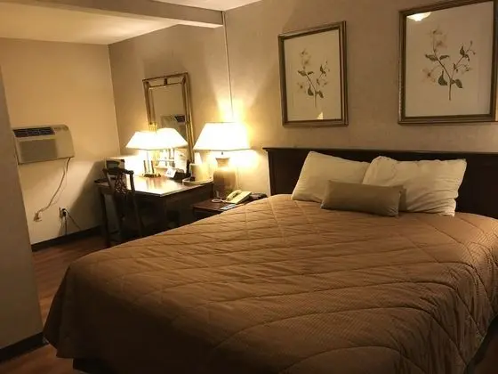 Standard Tek Büyük Yataklı Oda, 2 Çift Kişilik Yatak, Sigara İçilebilir