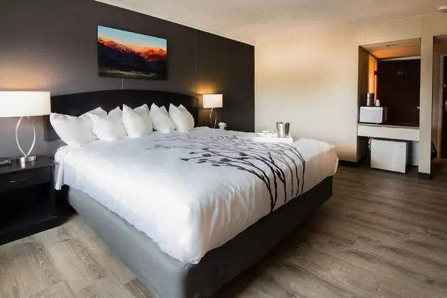 Standard Oda, 1 En Büyük (King) Boy Yatak, Balkon, Dağ Manzaralı