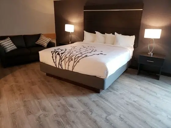 Standard Oda, 1 En Büyük (King) Boy Yatak, Balkon, Dağ Manzaralı