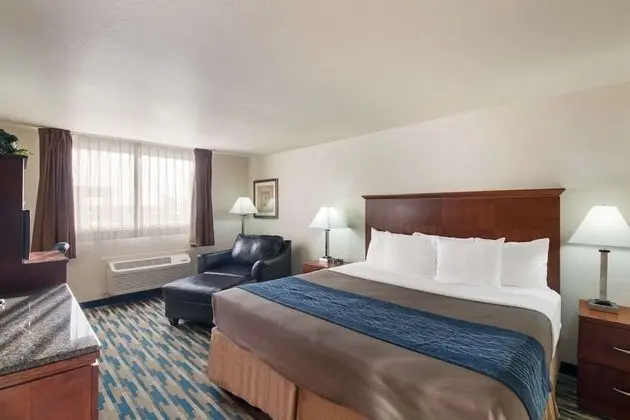 Oda, 1 En Büyük (King) Boy Yatak, Sigara İçilmez