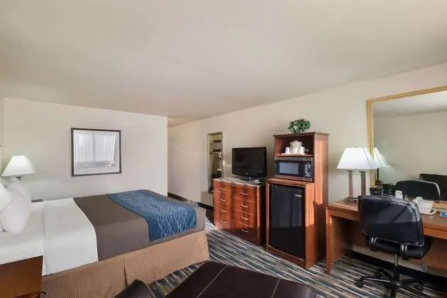 Oda, 1 En Büyük (King) Boy Yatak, Sigara İçilmez