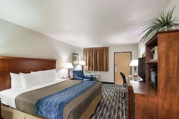 Standard Oda, 1 En Büyük (King) Boy Yatak, Sigara İçilmez