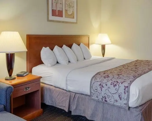 Standard Oda, 1 En Büyük (King) Boy Yatak, Sigara İçilmez