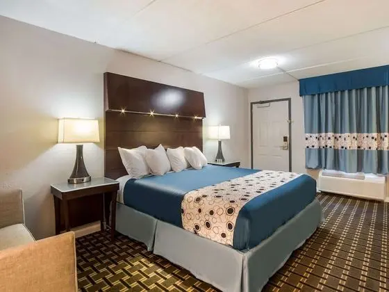 Oda, 1 En Büyük (King) Boy Yatak, Engellilere Uygun, Sigara İçilmez