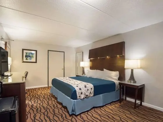 Oda, 1 En Büyük (King) Boy Yatak, Engellilere Uygun, Sigara İçilmez (Efficiency)