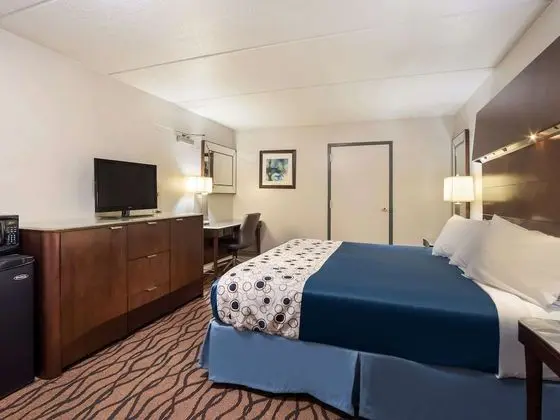 Oda, 1 En Büyük (King) Boy Yatak, Engellilere Uygun, Sigara İçilmez (Efficiency)