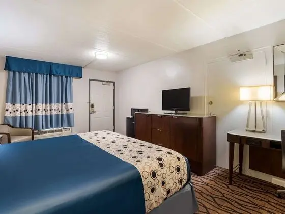 Oda, 1 En Büyük (King) Boy Yatak, Engellilere Uygun, Sigara İçilmez (Efficiency)