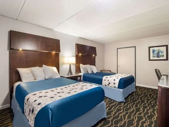 Oda, 2 Çift Kişilik Yatak, Engellilere Uygun, Sigara İçilmez