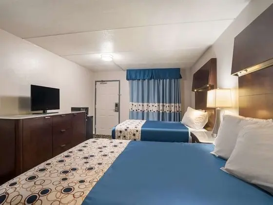 Oda, 2 Çift Kişilik Yatak, Engellilere Uygun, Sigara İçilmez