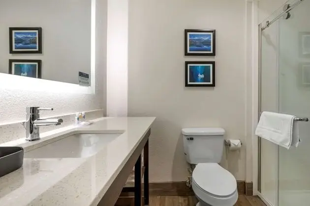 Basic Oda, 1 Büyük (Queen) Boy Yatak, Engellilere Uygun, Sigara İçilmez